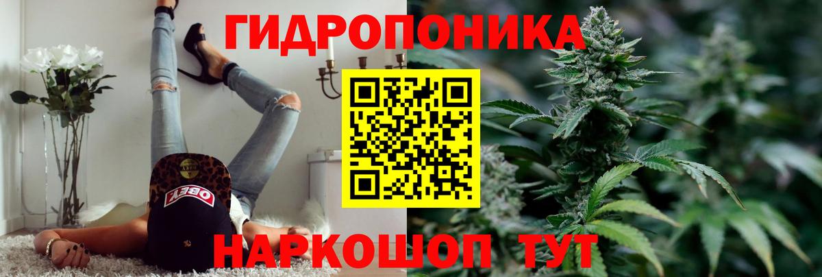 Канабис сатива  Марихуана планчик  Вход с VPN  Борисоглебск  Шишки марихуана тримм 